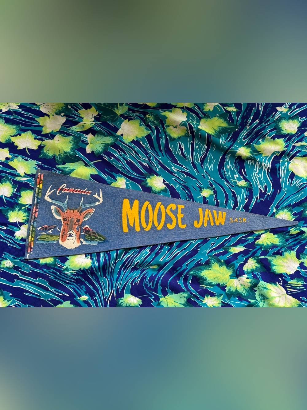 2/$30 ✨Vintage 50’s-60’s Moose Jaw Pennant Flag - Saskatchewan Pennant Flag✨